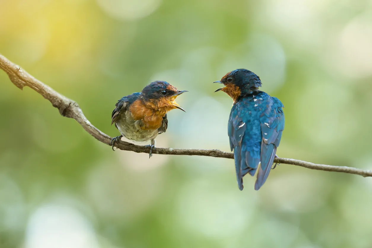 Being seen and heard — a workshop on the kind of attention that makes people feel valued