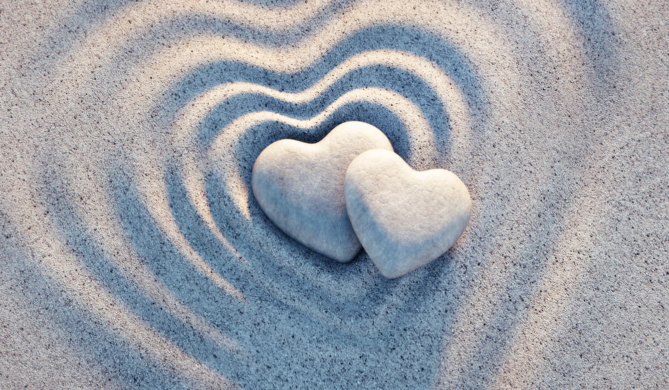 What makes a good life — a workshop on relationships, purpose, and what matters most